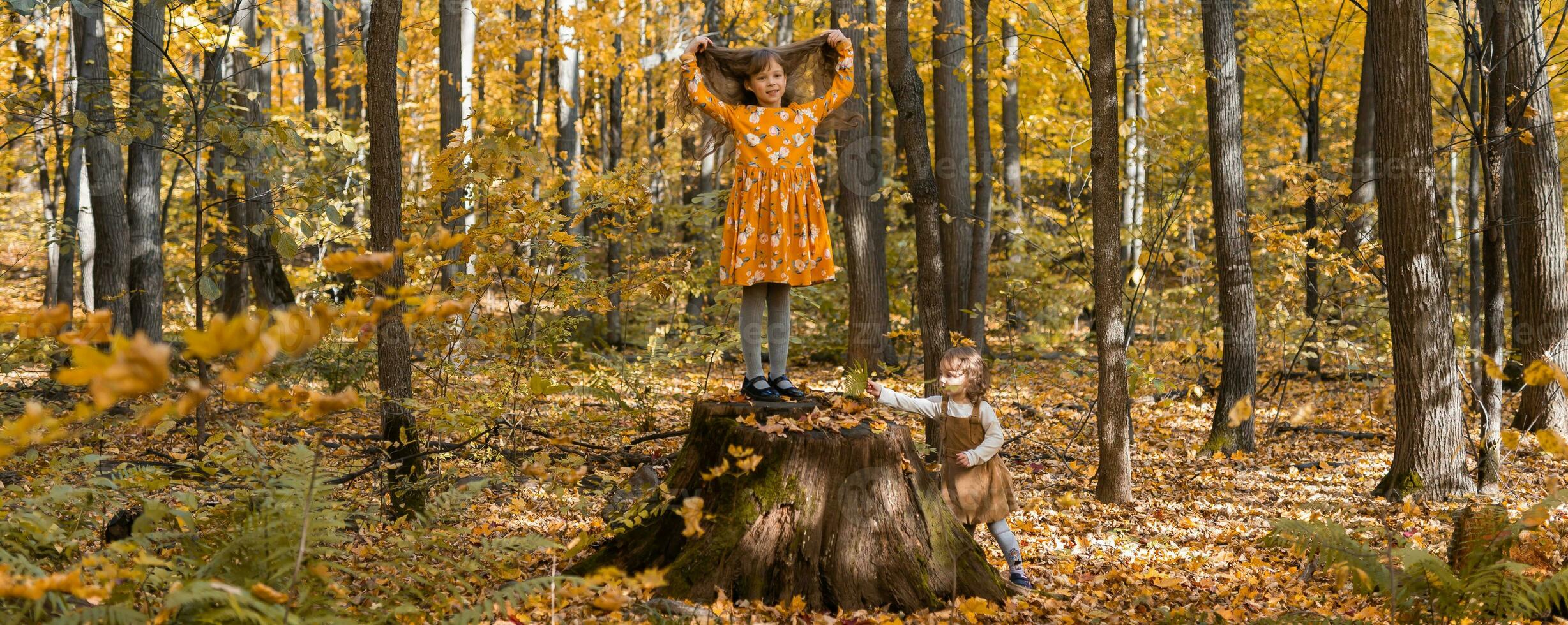 bandera pequeño niños muchachas con otoño naranja hojas en un parque Copiar espacio. estilo de vida, otoño temporada y niños concepto. foto