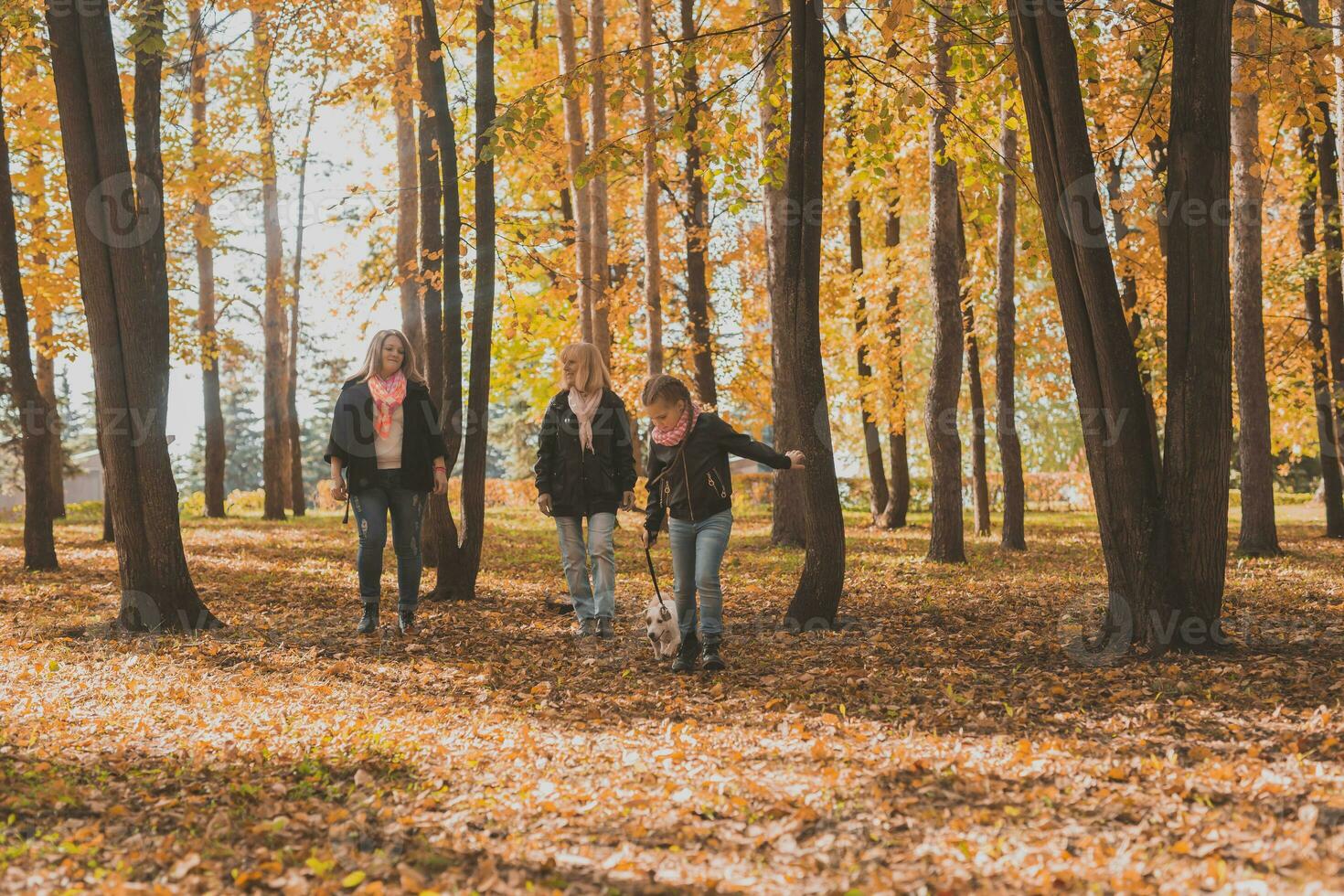 Grandmother and mother with granddaughter walks together in autumn park and having fun. Generation, leisure and family concept. photo