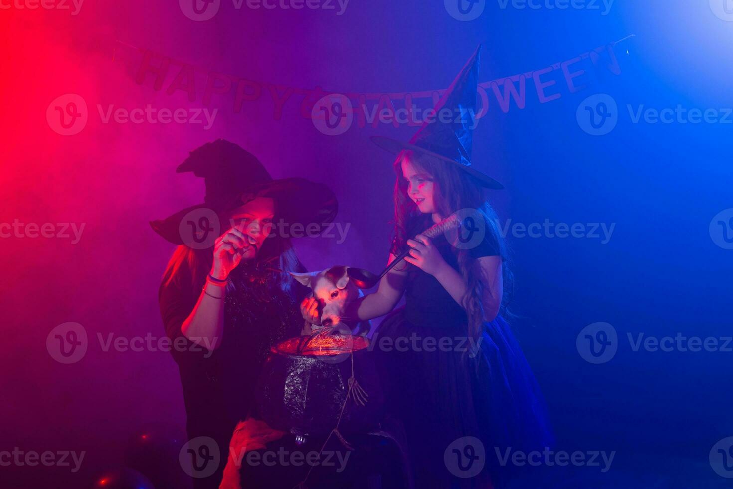 Funny child girl and woman in witches costumes for Halloween with dog. photo