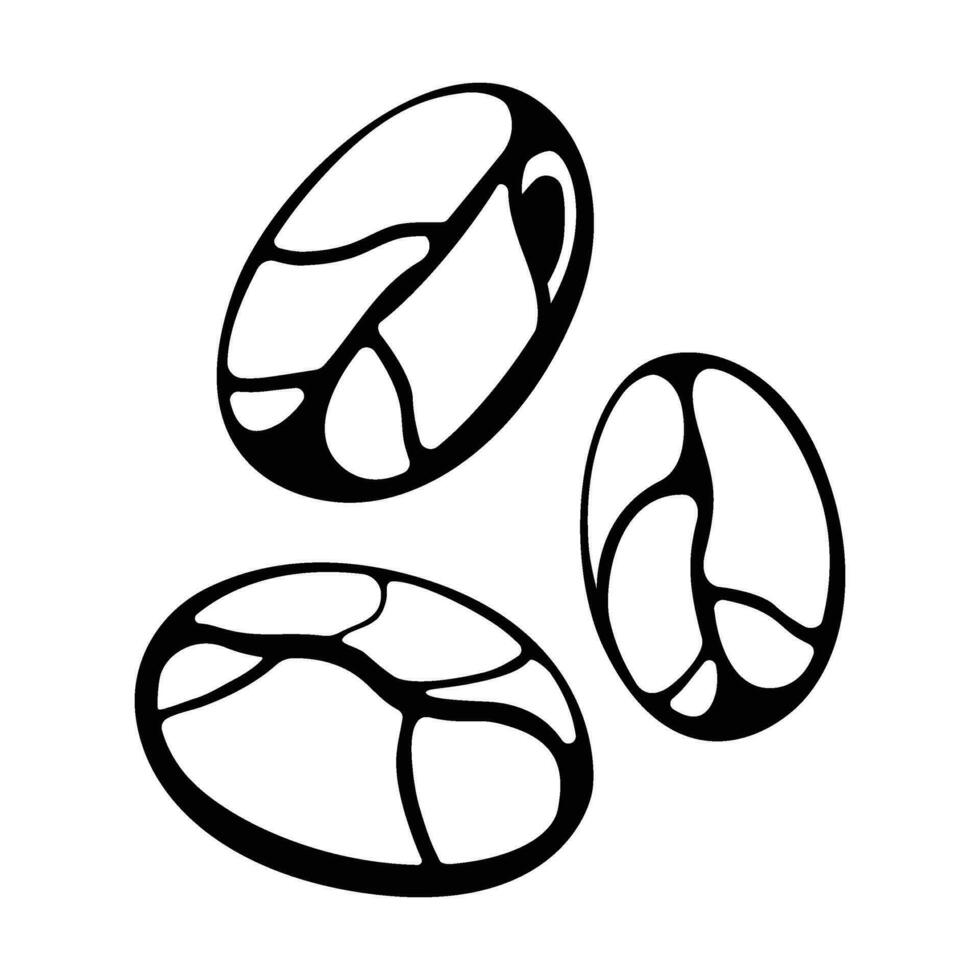 Concept coffee bean flat vector illustration, icon isolated on white, energy drink.
