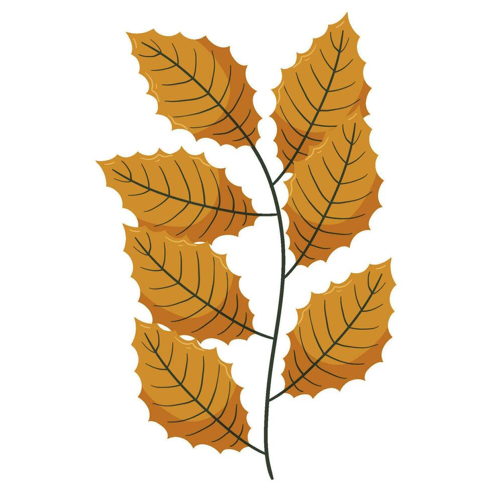 Autumn forest leaf branch illustration. vector