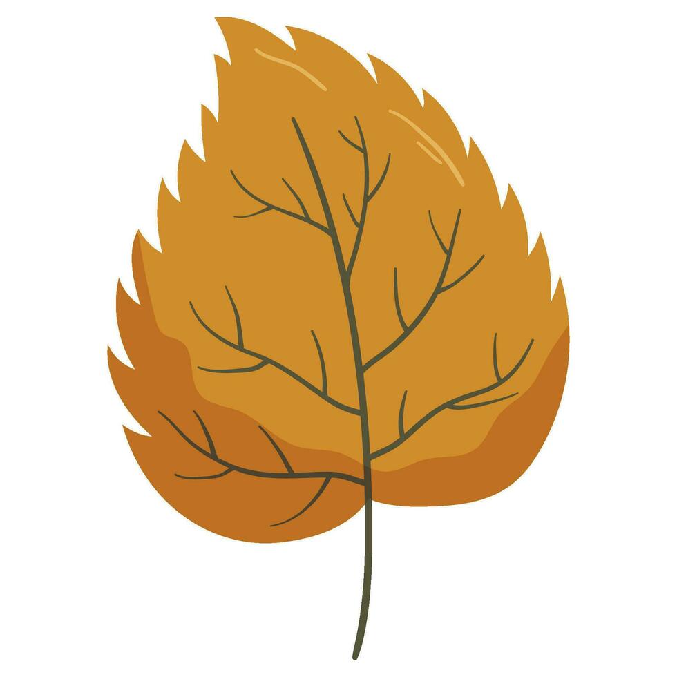 Autumn forest leaf illustration. vector