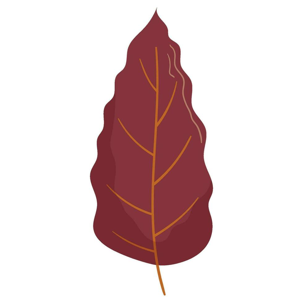 Autumn forest leaf illustration. vector