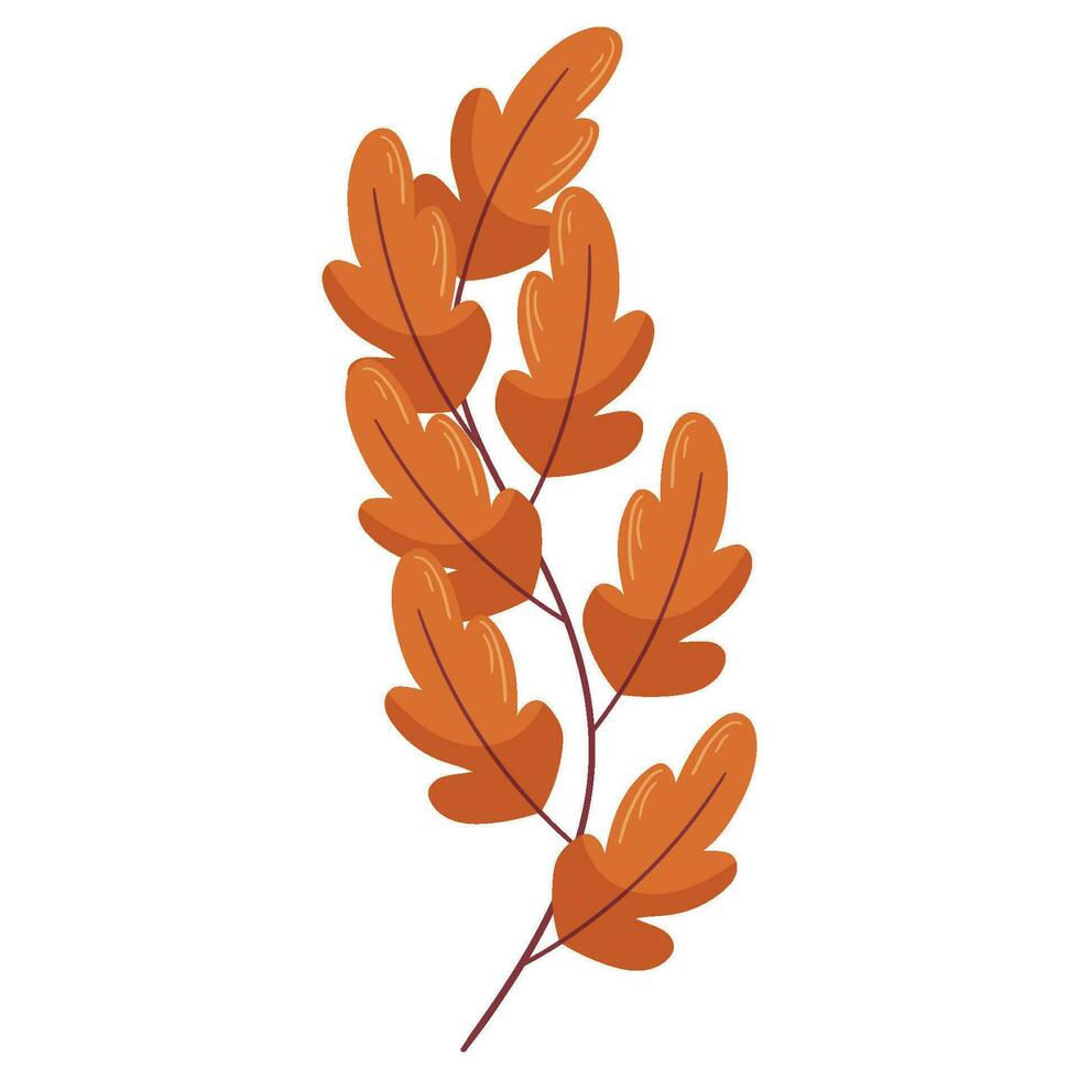 Autumn forest leaf branch illustration. vector