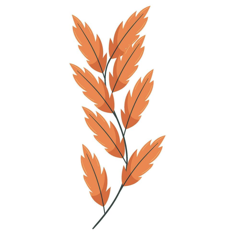 Autumn forest leaf branch illustration. vector