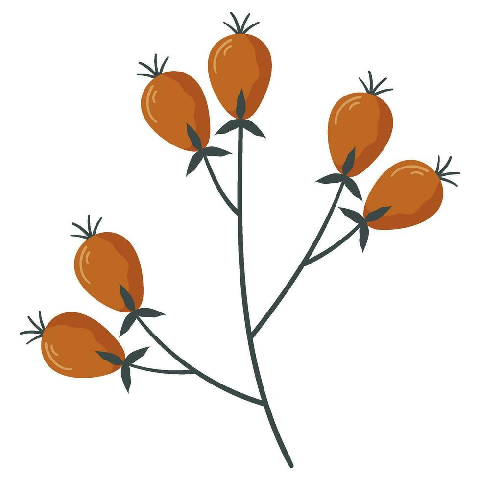 Autumn forest rosehip berry on twig illustration. vector