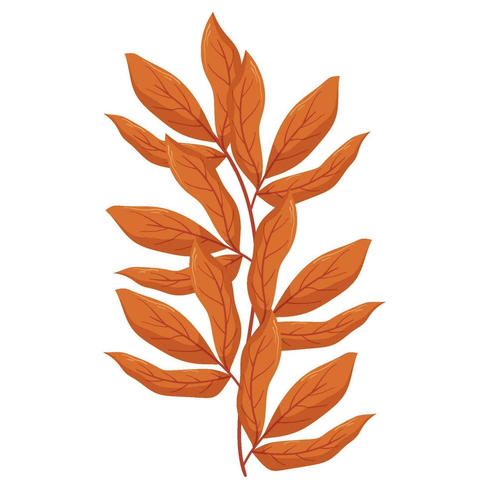 Autumn forest leaf branch illustration. vector