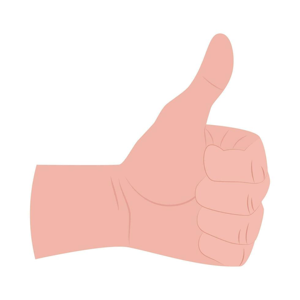 Thumb hand gesture on a white background. The hand raises the thumb up as a symbol of positive emotion. Vector illustration.