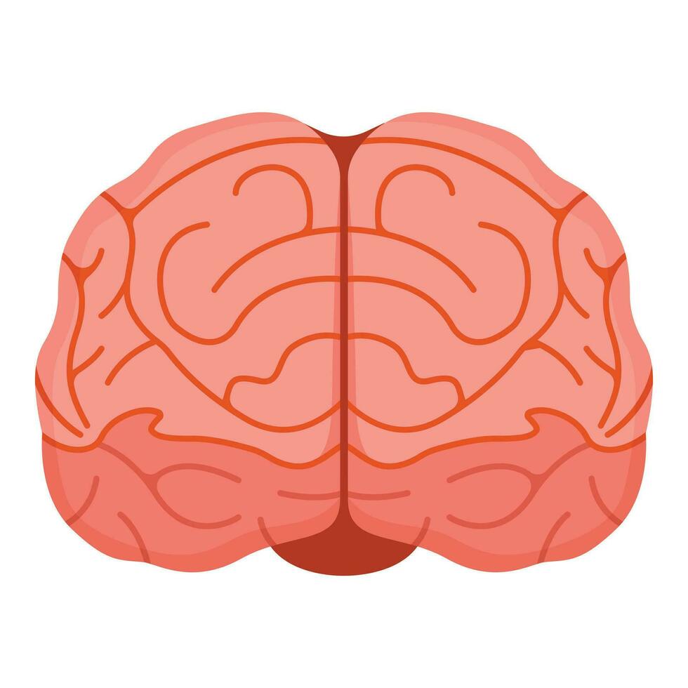 Human brain icon, concept cartoon vector illustration, isolated on white, healthy mental lifestyle stable