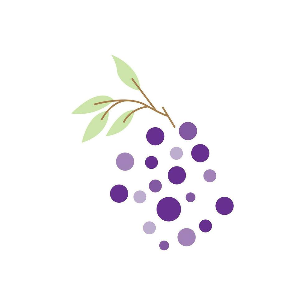 Grape Logo, Garden Vector, Fresh Purple Fruit, Wine Brand Design, Simple Illustration Template vector