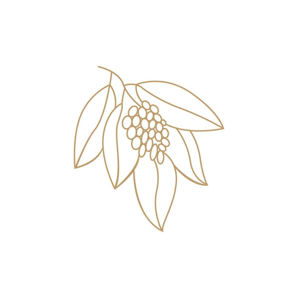 Coffee Logo, Coffee Tree Design, Cafe Drink Vector, Icon Brand Illustration Symbol vector