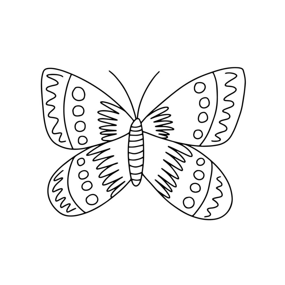 vector repollo mariposa colorante página. mano dibujado mariposa bosquejo en blanco antecedentes