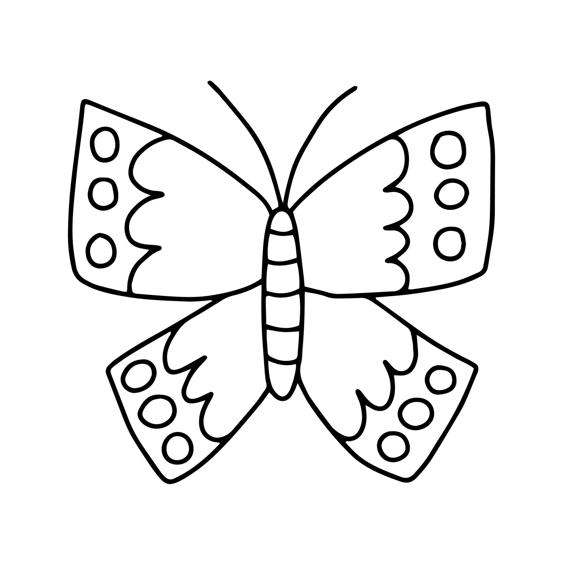 Vector cabbage butterfly coloring page. Hand drawn butterfly sketch on