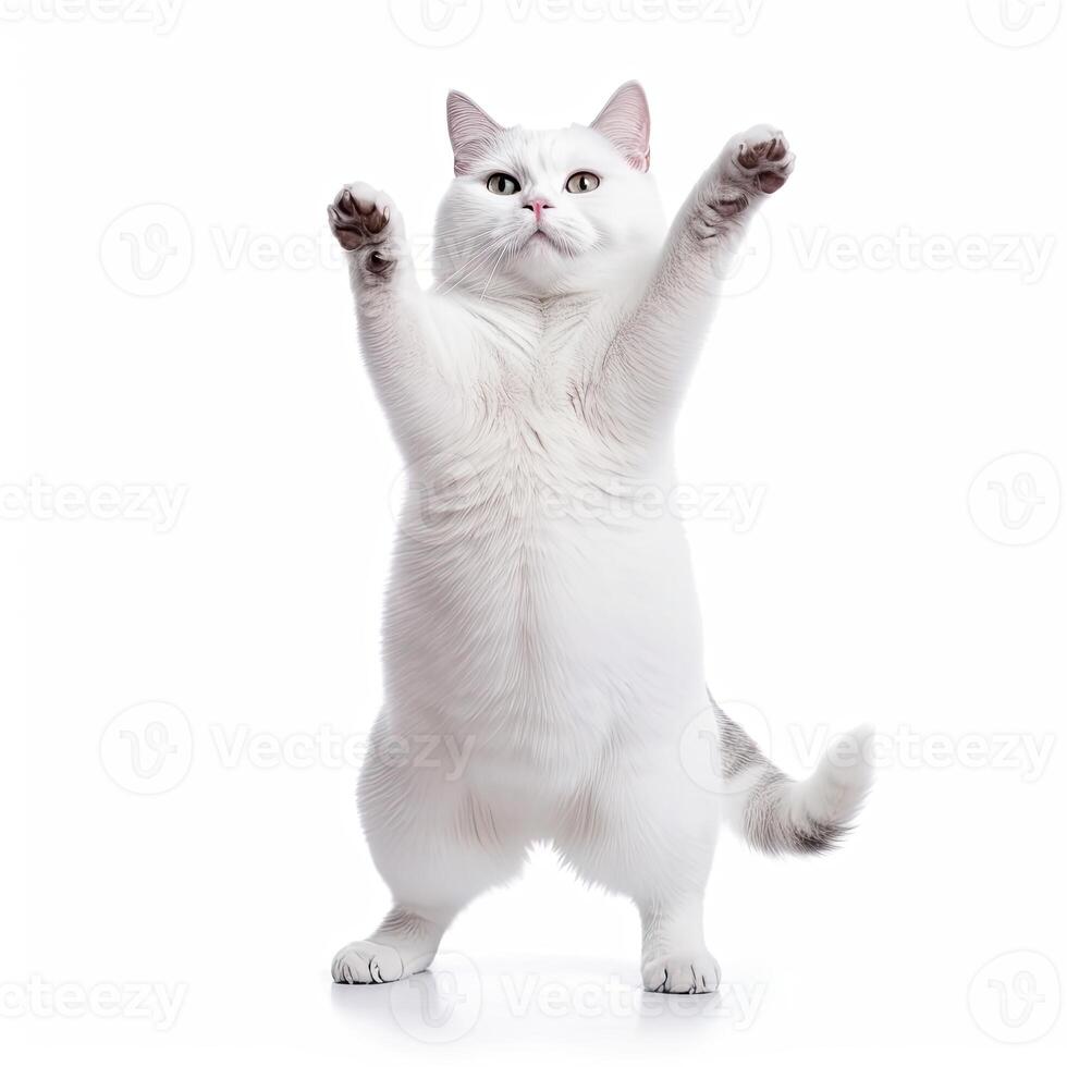 Funny dancing cat on white background. The cat stands on its hind legs in full height, as if dancing or drunk. Generative AI photo