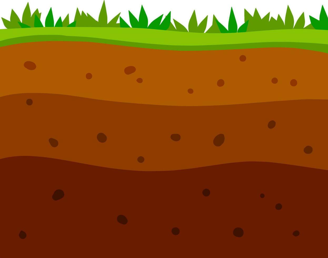 Land in the section. Brown soil layer. Background for archaeology. Underground geology. Summer landscape. Flat cartoon vector