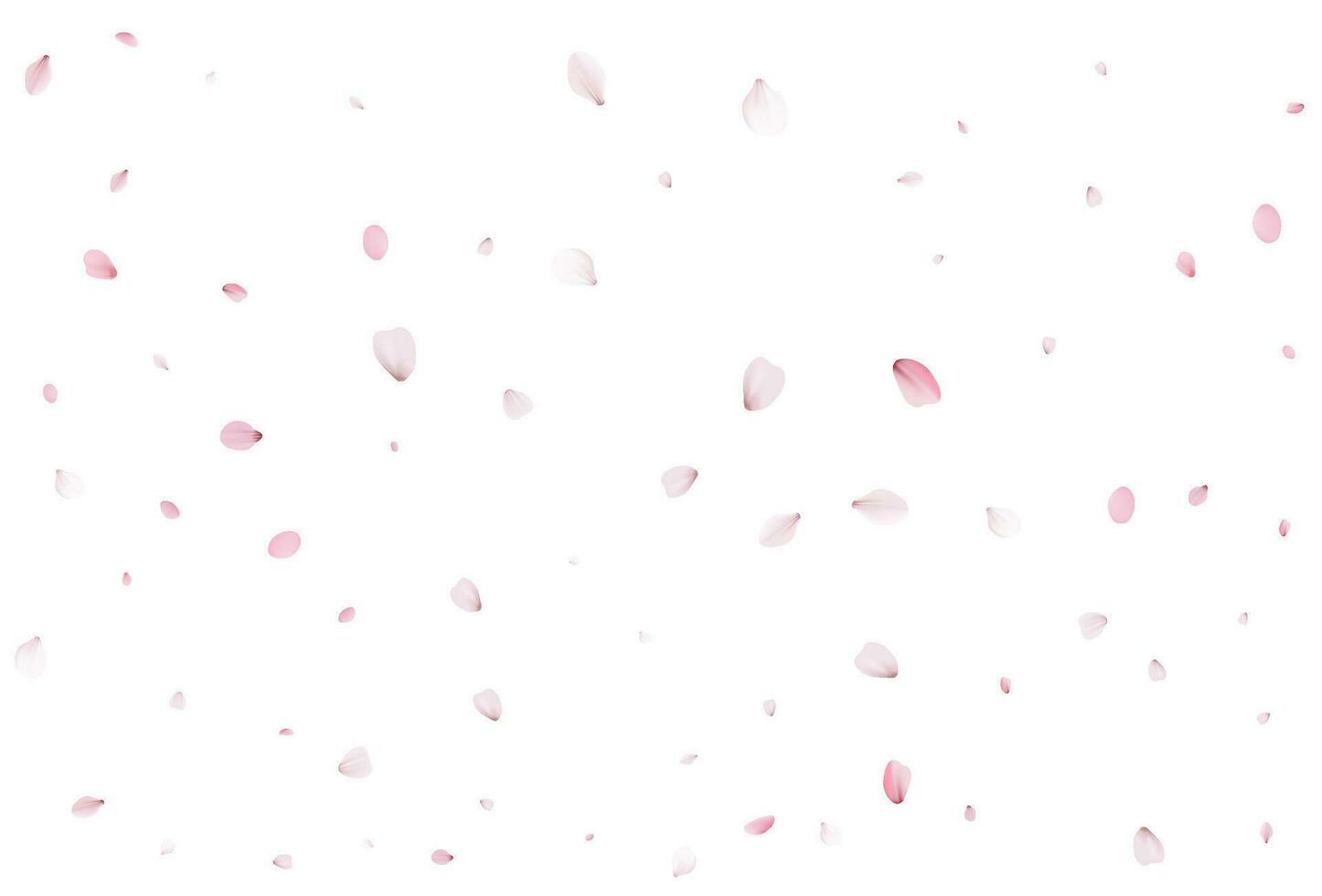 Sakura flying petals, romantic background. vector