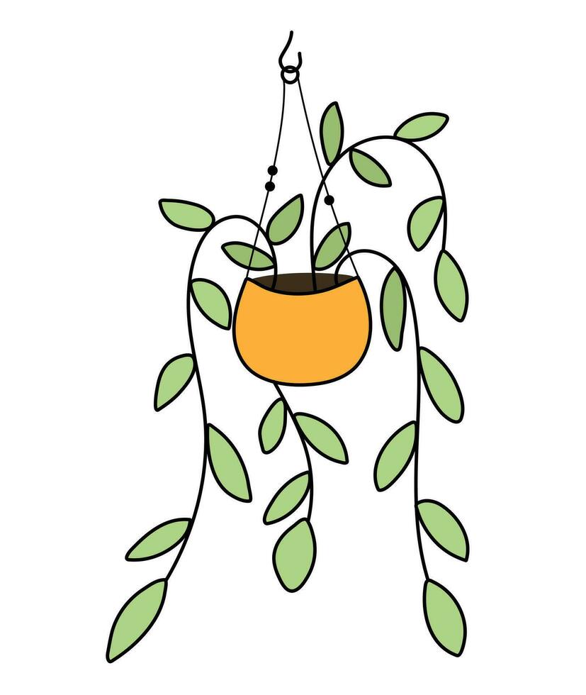 Indoor curly flowers in a pot on a white background. vector