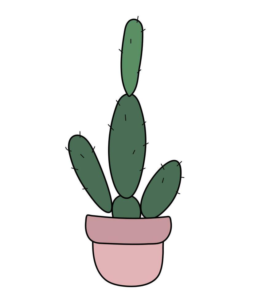 Indoor flowers, cactus in a pot on a white background. vector