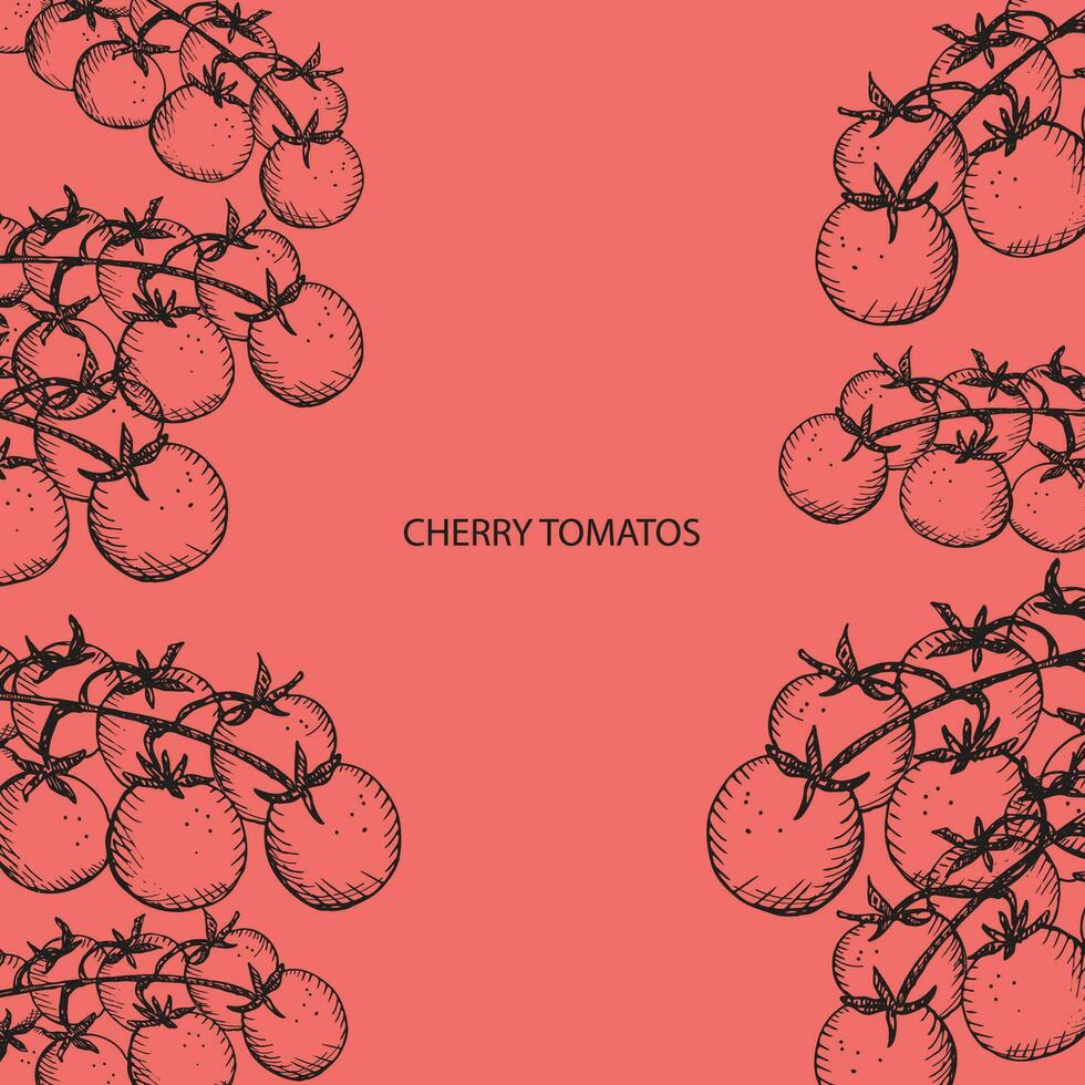 Cherry tomatoes template background with tomato branches for text, label, print, logo, card.Vector illustration of vegetable engraved  hand drawn . Food backdrop, harvest tomato, design element vector