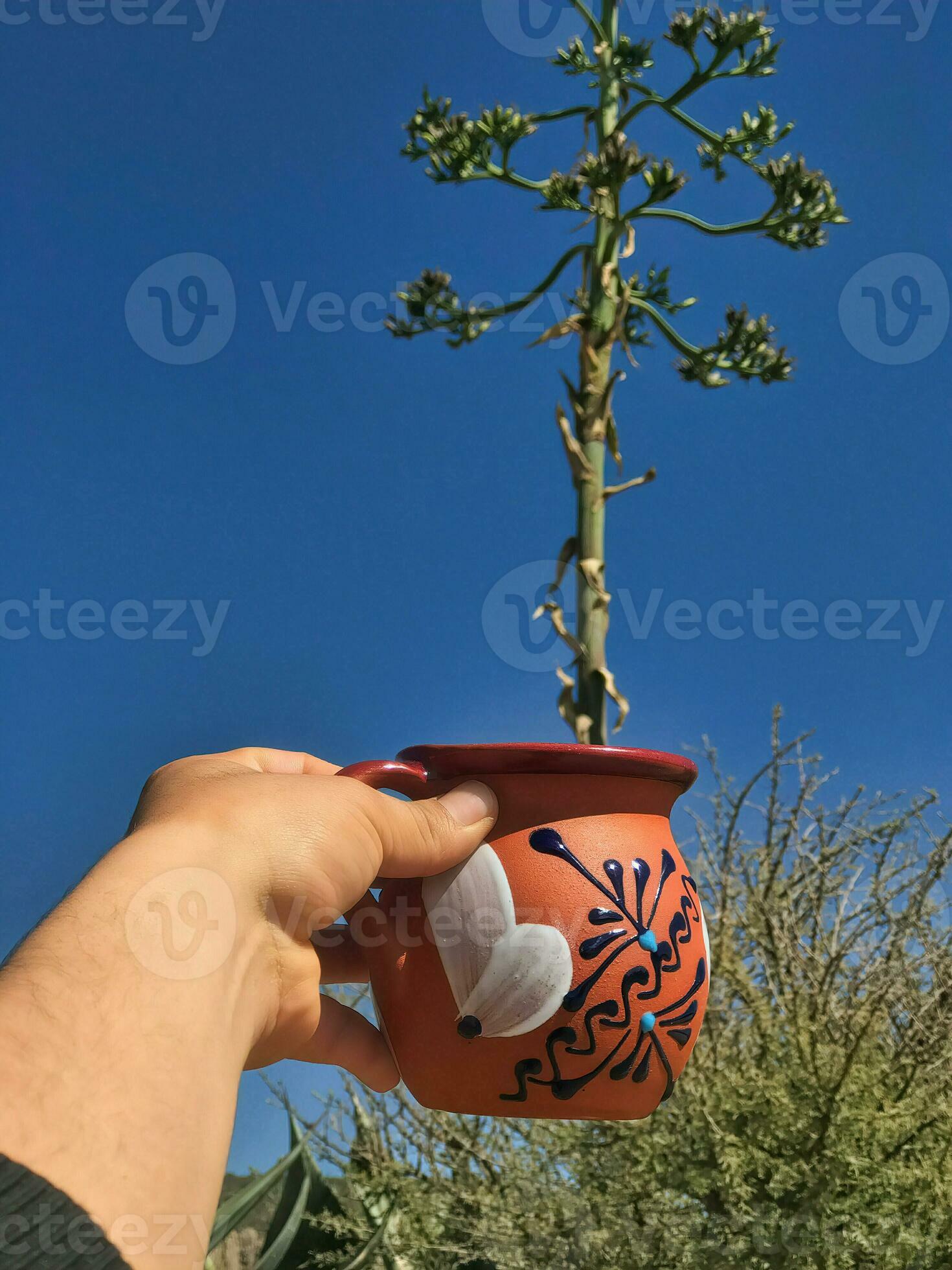 Maguey Leaves:  Traditional Uses And Modern Innovations - 612r5mt