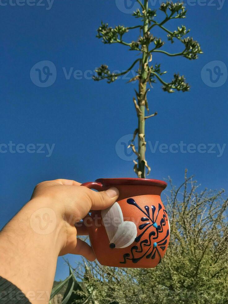 Pulque a traditional Mexican drink from the maguey plant, rooted in nature photo