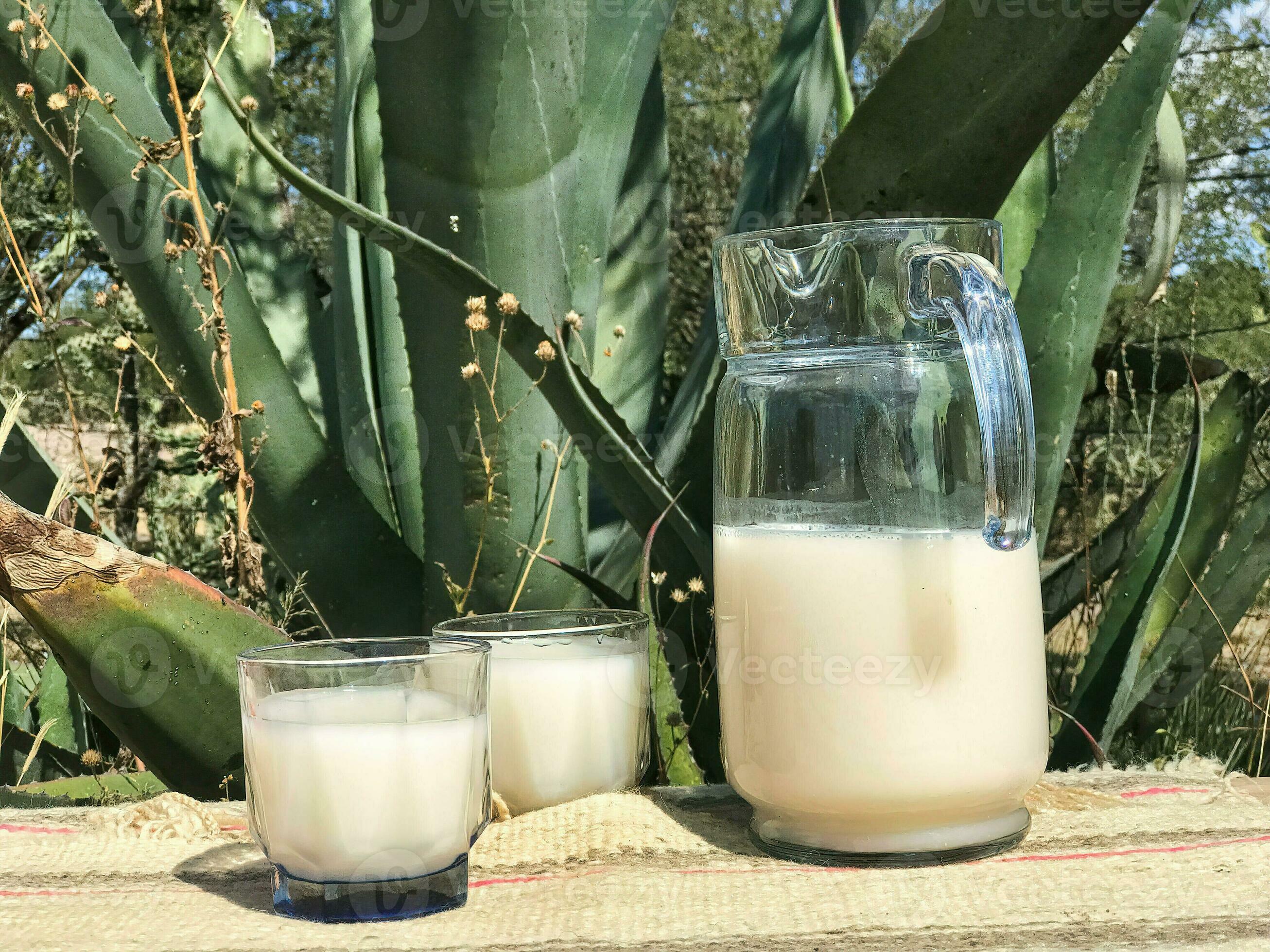 Maguey Leaves:  Traditional Uses And Modern Innovations - t1snk0l