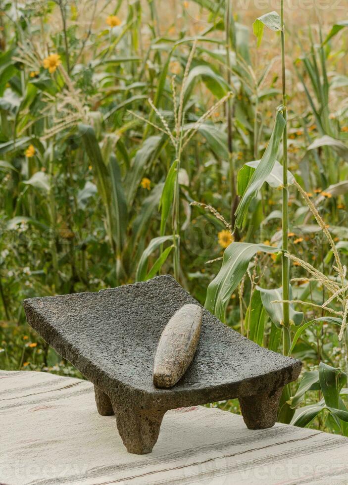 en México, el metate es usado a moler maíz dentro un multa comida, conectando comida y tradicion foto