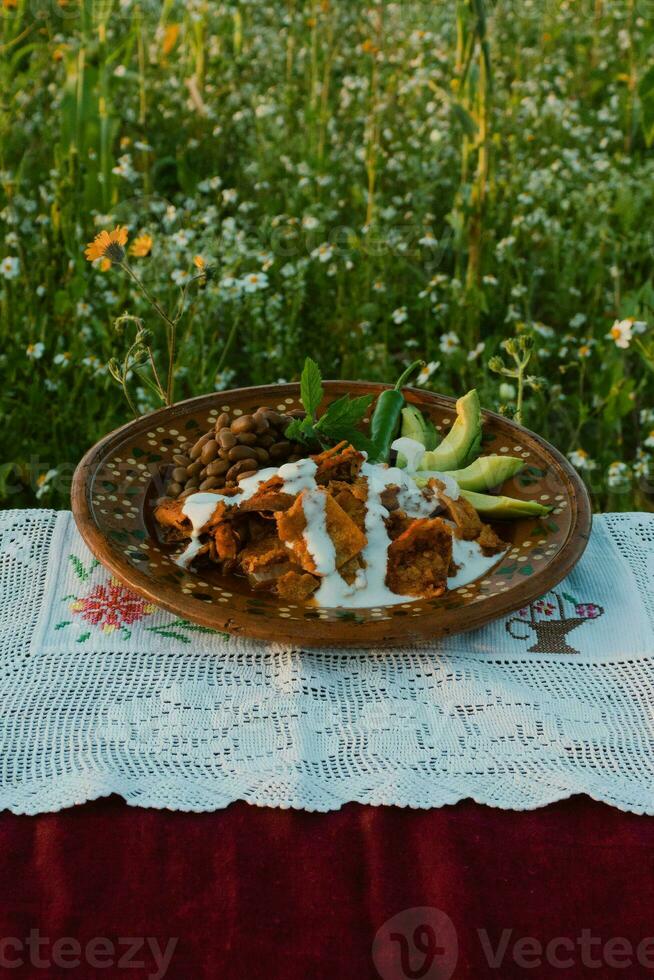 en México, tradicional chilaquiles son servido en un mesa con vistoso vajilla y Fresco ingredientes. foto