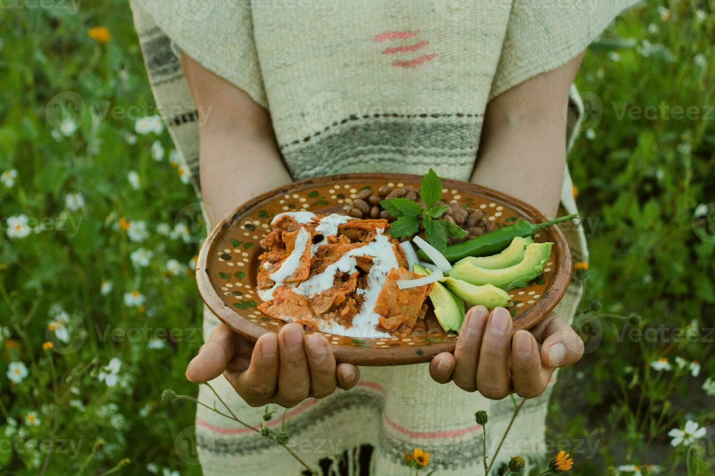 In Mexico, chilaquiles are a delicious and popular dish made with fried tortillas, sauce photo