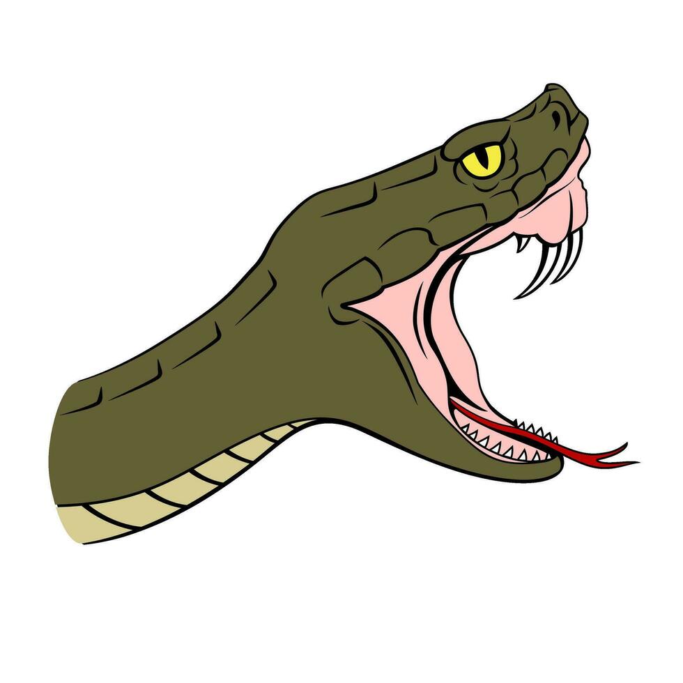 Snake Head. Viper with opened mouth in attack. Vector clipart isolated on white.