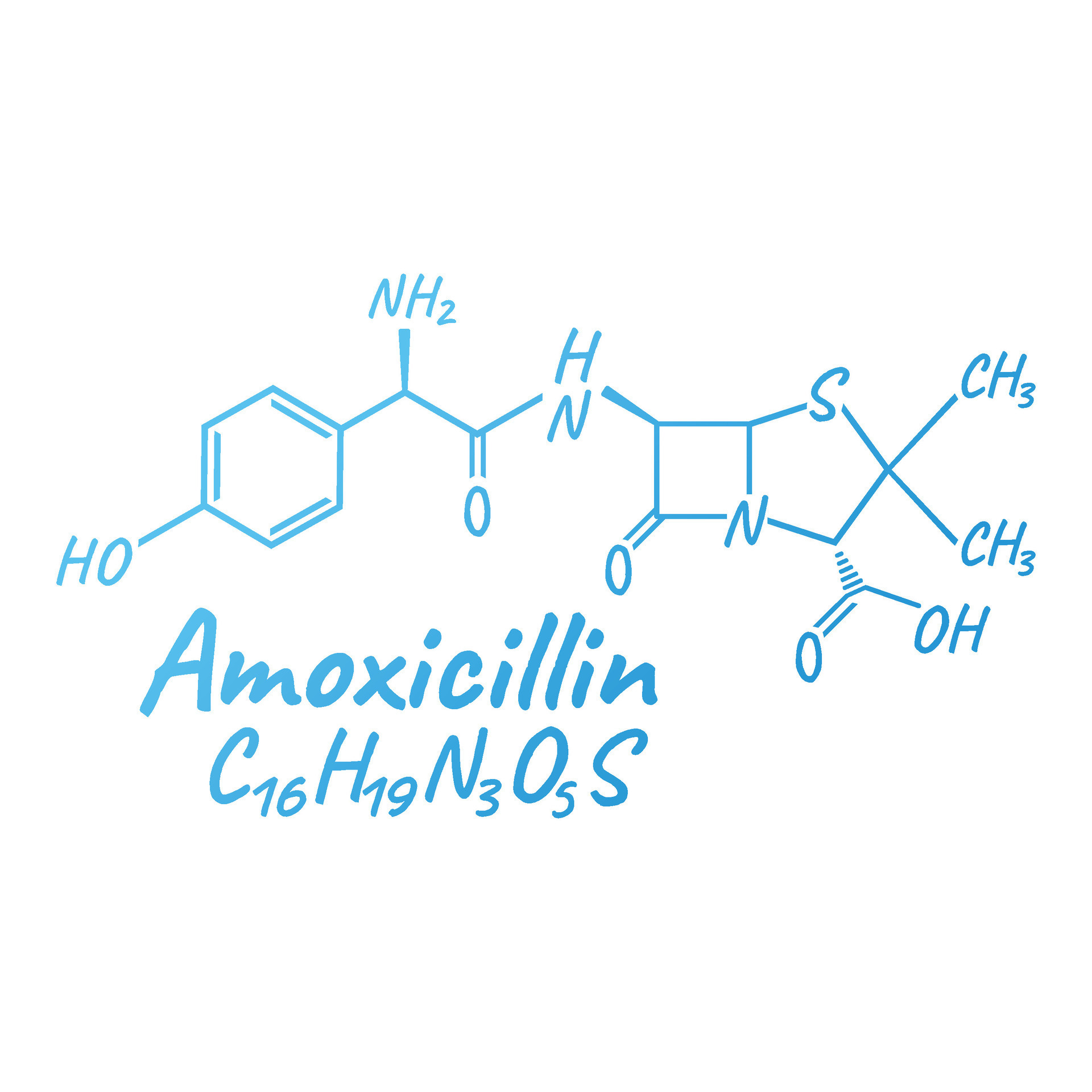 Augmentin structure