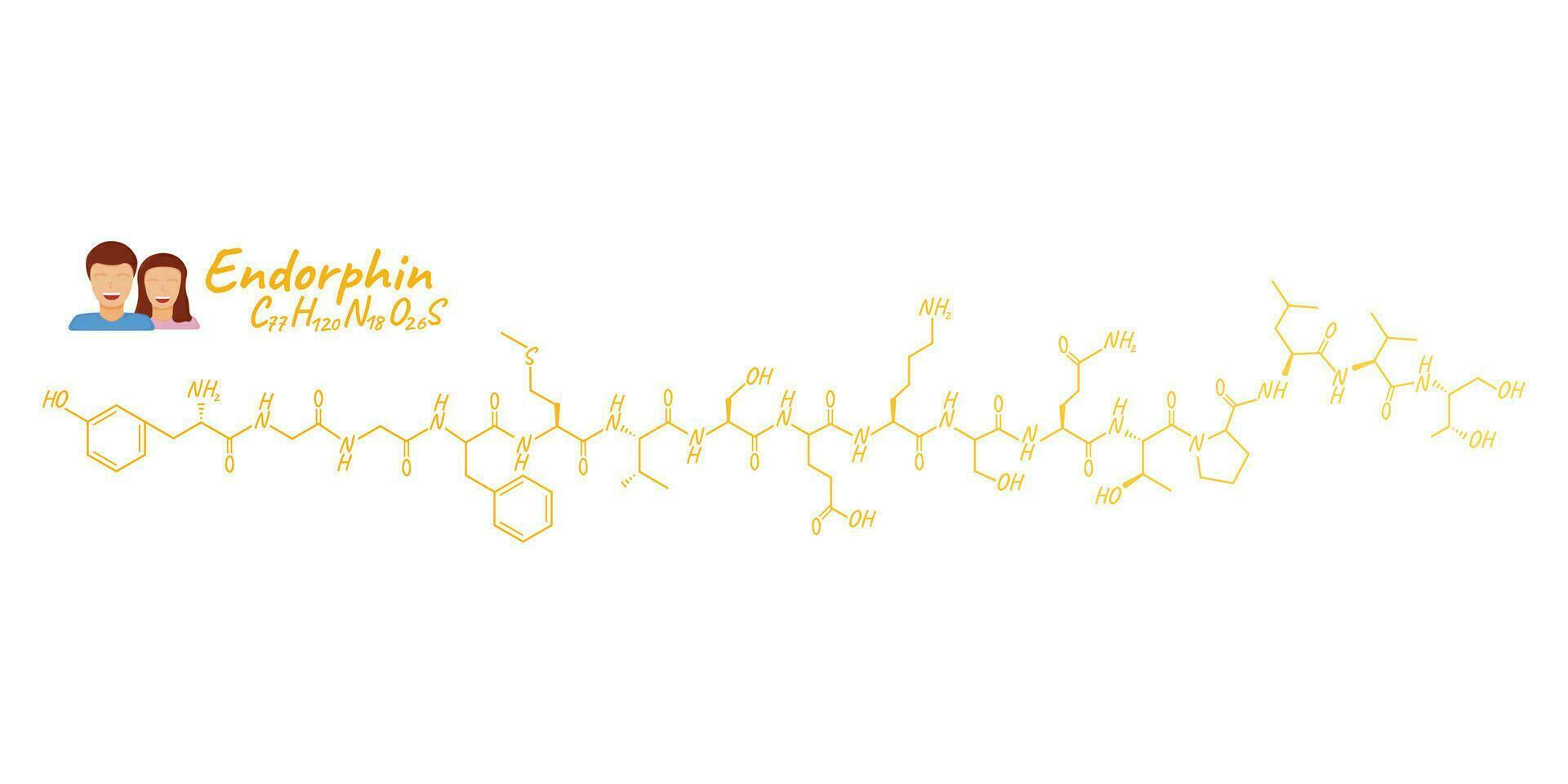 Human hormone endorphin concept chemical skeletal formula icon label, text font vector illustration, isolated on white. Periodic element table.
