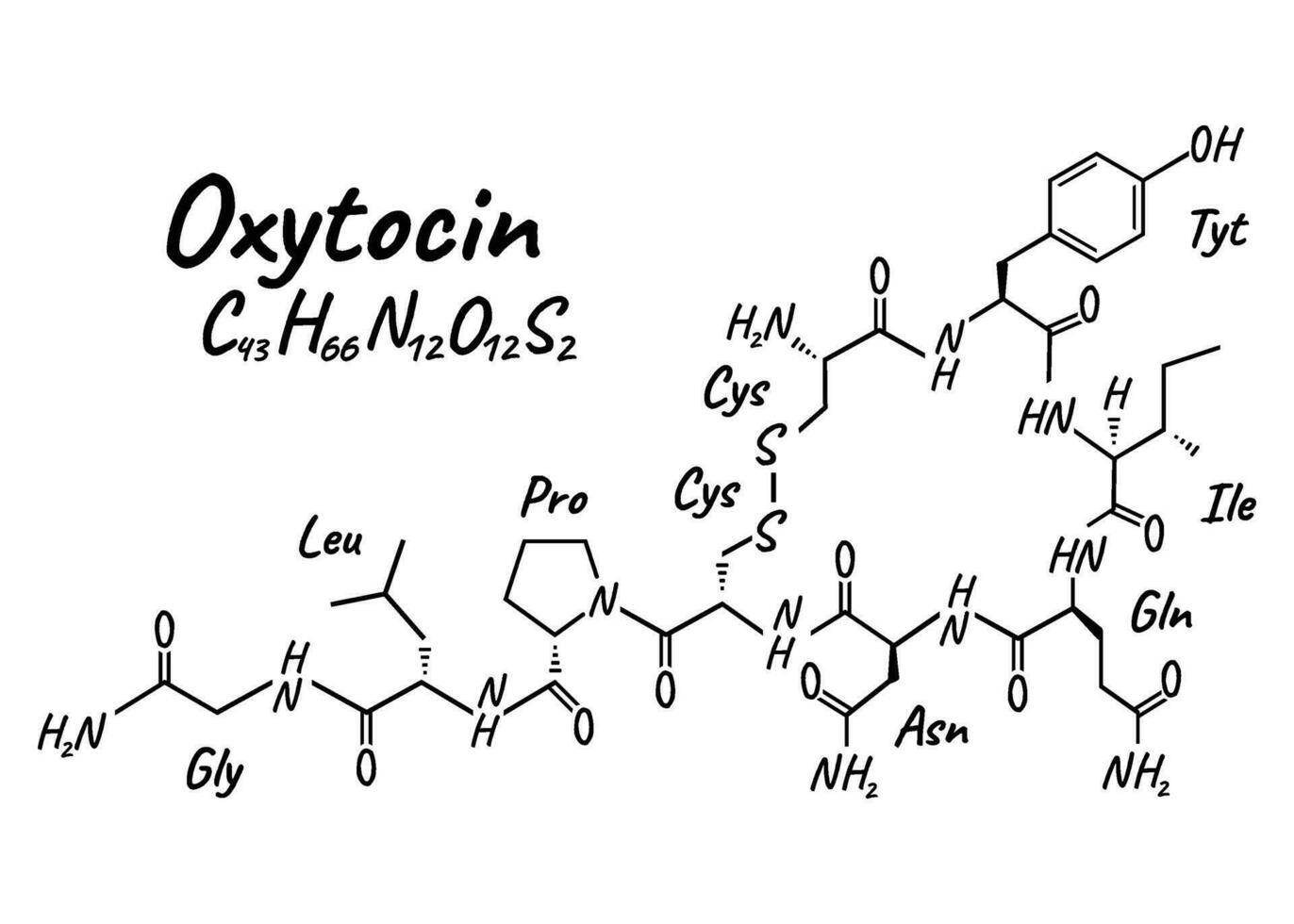 Human hormone oxytocin concept chemical skeletal formula icon label, text font vector illustration, isolated on white. Periodic element table.