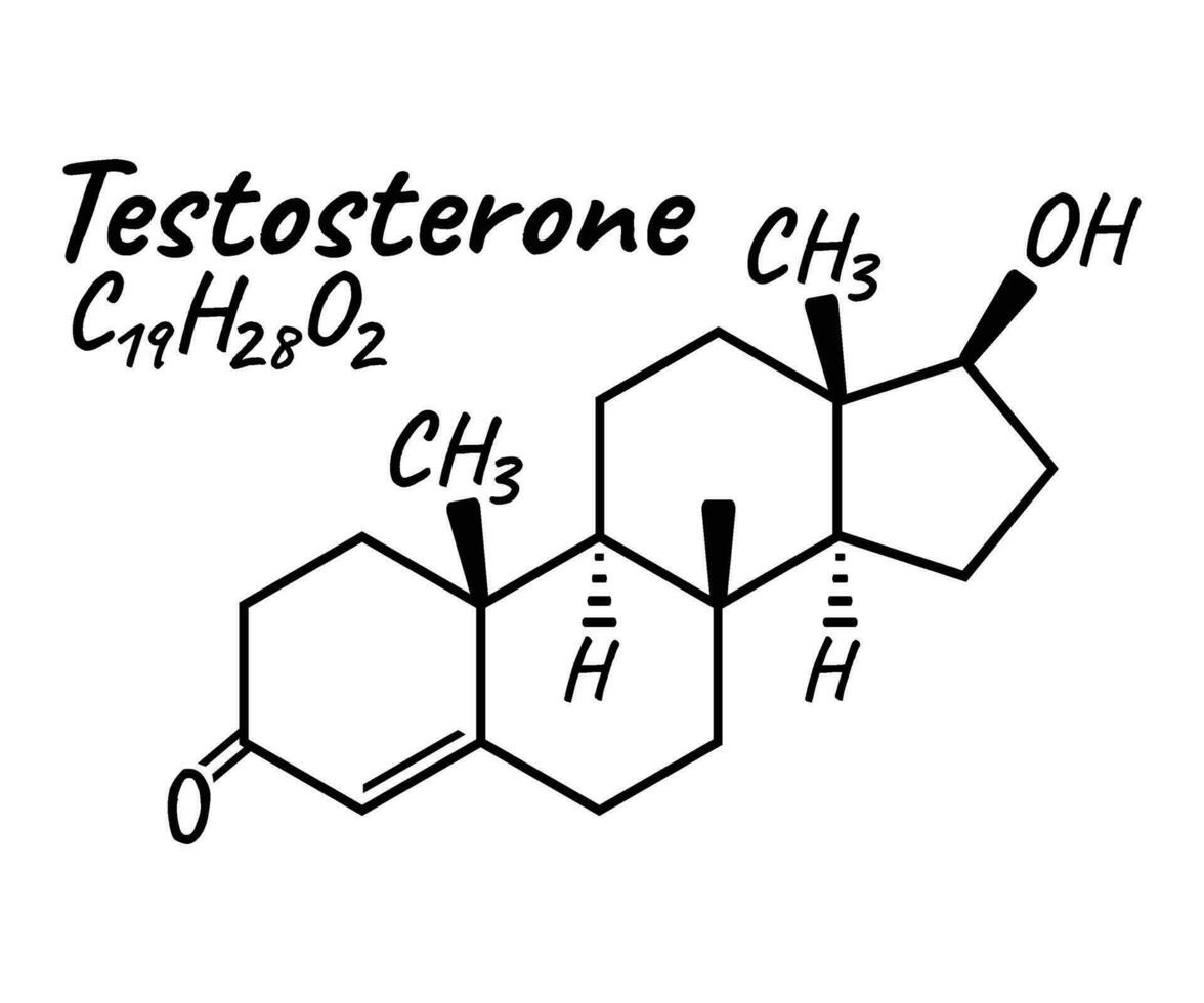 Human hormone testosterone concept chemical skeletal formula icon label, text font vector illustration, isolated on white. Periodic element table.