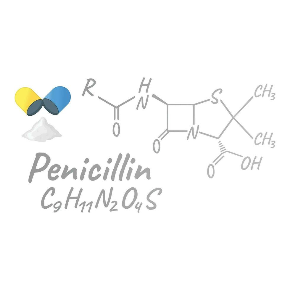 Penicillin antibiotic chemical formula and composition, concept structural medical drug, isolated on white background, vector illustration.