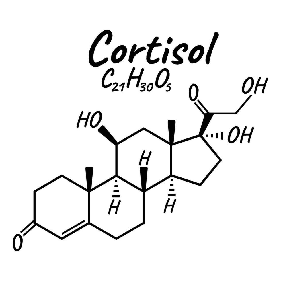 Human hormone cortisol concept chemical skeletal formula icon label, text font vector illustration, isolated on white. Periodic element table.