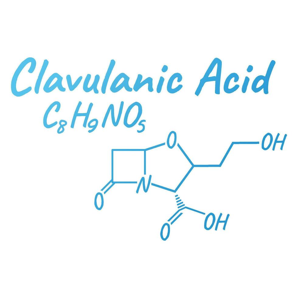 Clavulanic acid antibiotic chemical formula and composition, concept structural medical drug, isolated on white background, vector illustration.