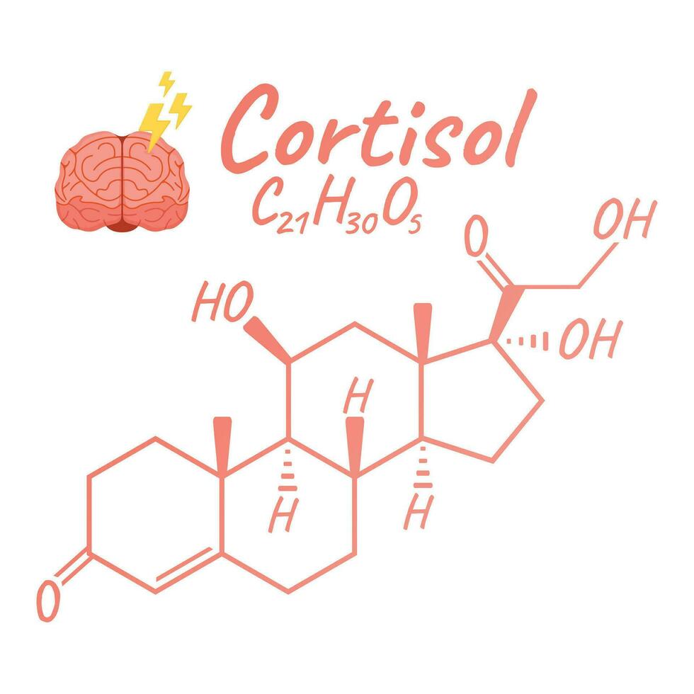 Human hormone cortisol concept chemical skeletal formula icon label, text font vector illustration, isolated on white. Periodic element table.
