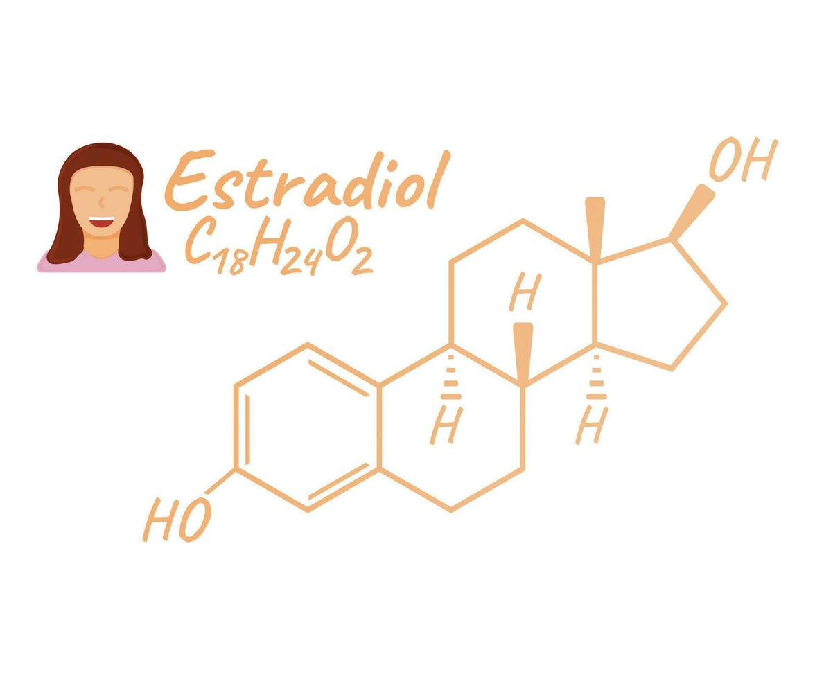 Human hormone estradiol concept chemical skeletal formula icon label, text font vector illustration, isolated on white. Periodic element table.