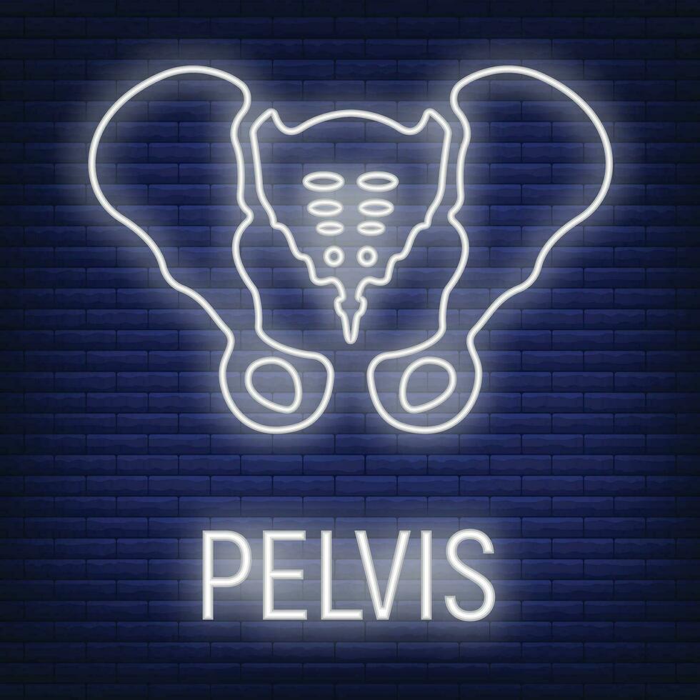 Concept pelvis bone icon glow neon style, skeleton part organism, roentgen human body image isolated on black, flat vector illustration.