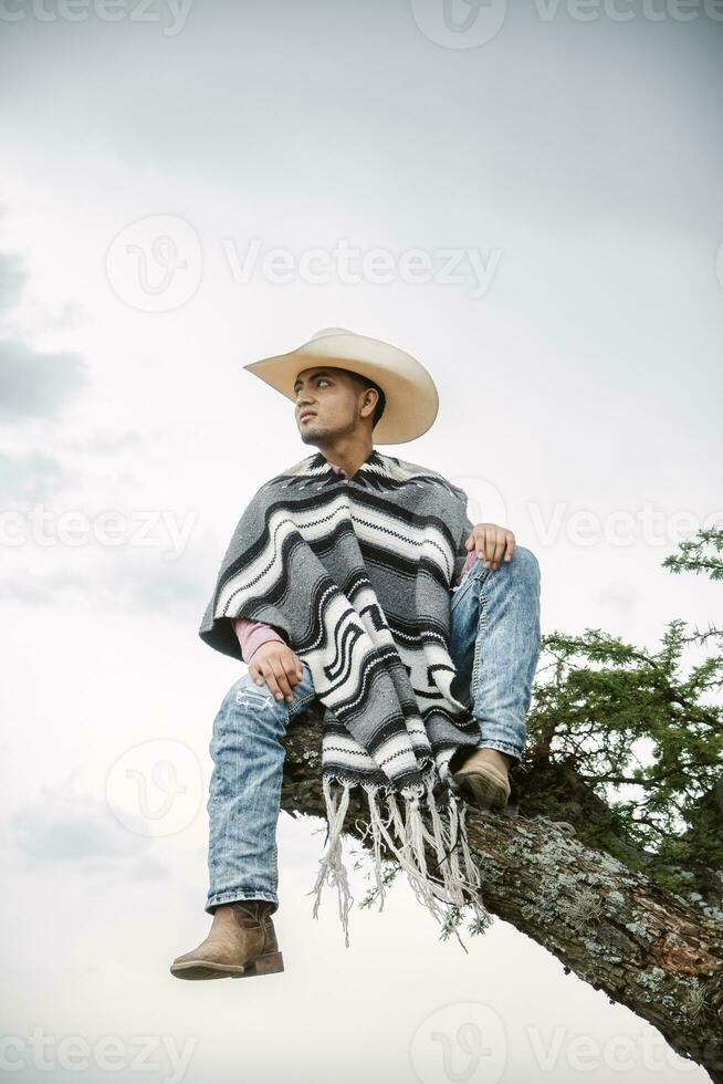 Cowboy wearing a poncho sitting under a tree in the sky photo