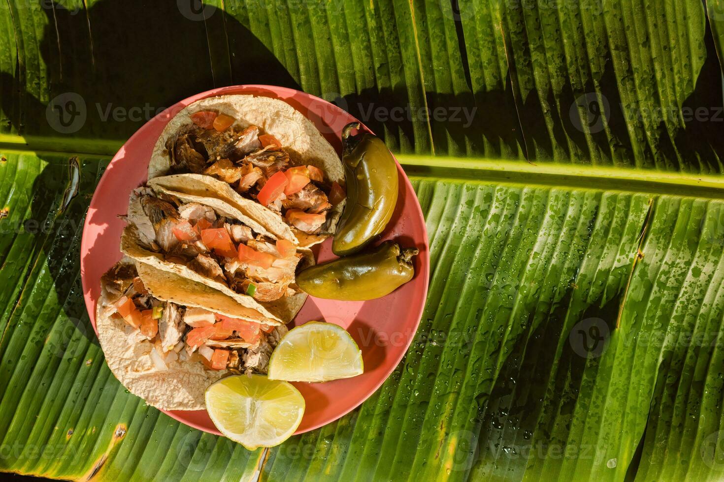 The Mexican carnitas tacos, topped with green ingredients, are a staple food in Mexican cuisine photo