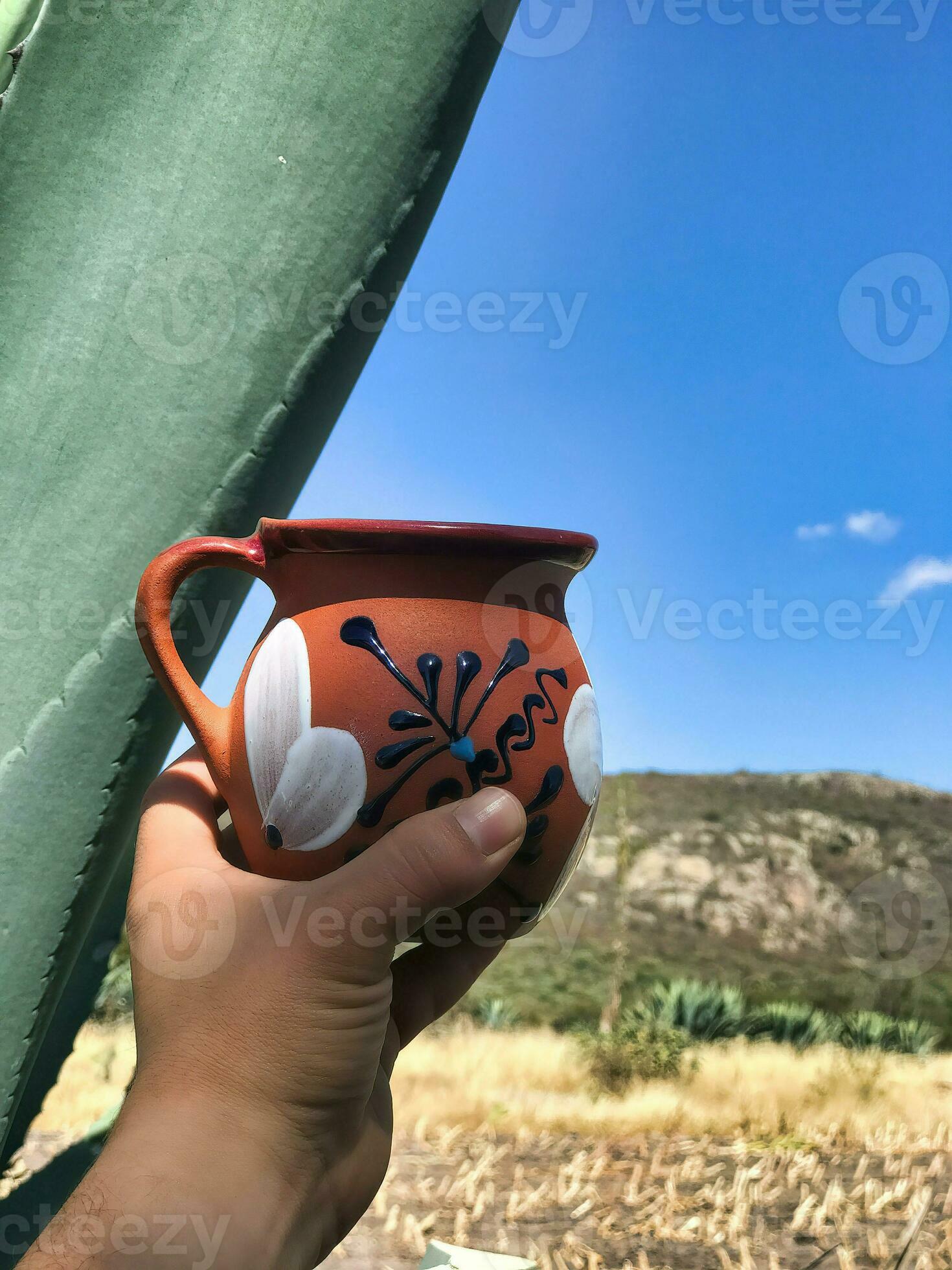 Maguey Leaves:  Traditional Uses And Modern Innovations - 27ih7uh