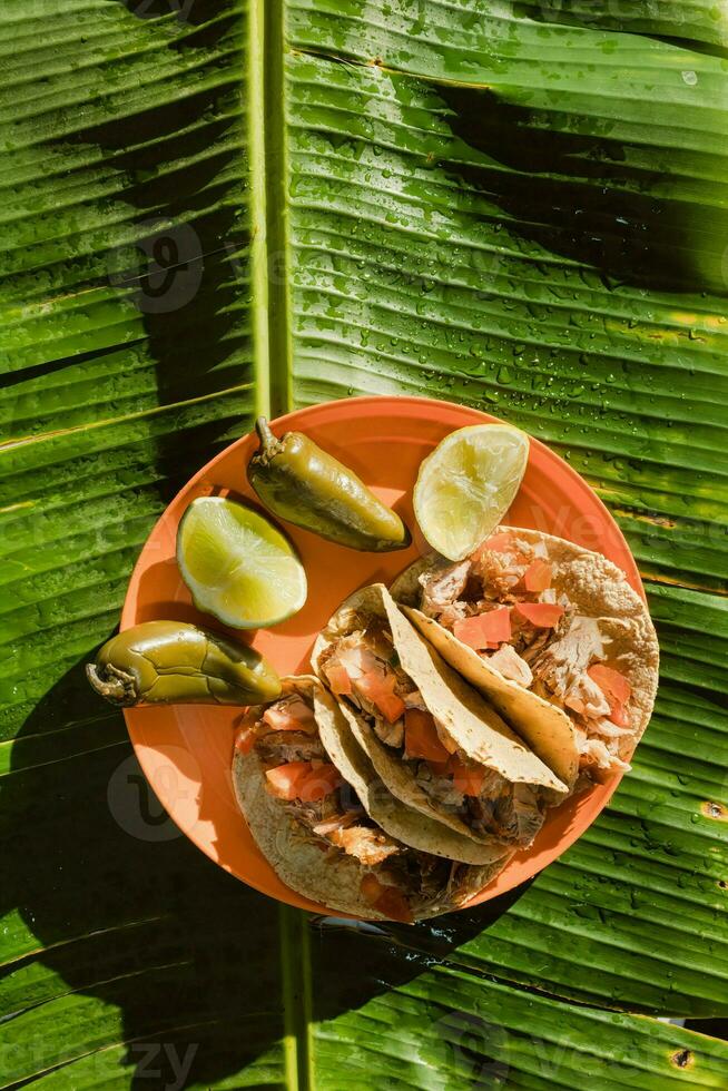 The Mexican carnitas tacos, topped with green ingredients, are a staple food in Mexican cuisine photo