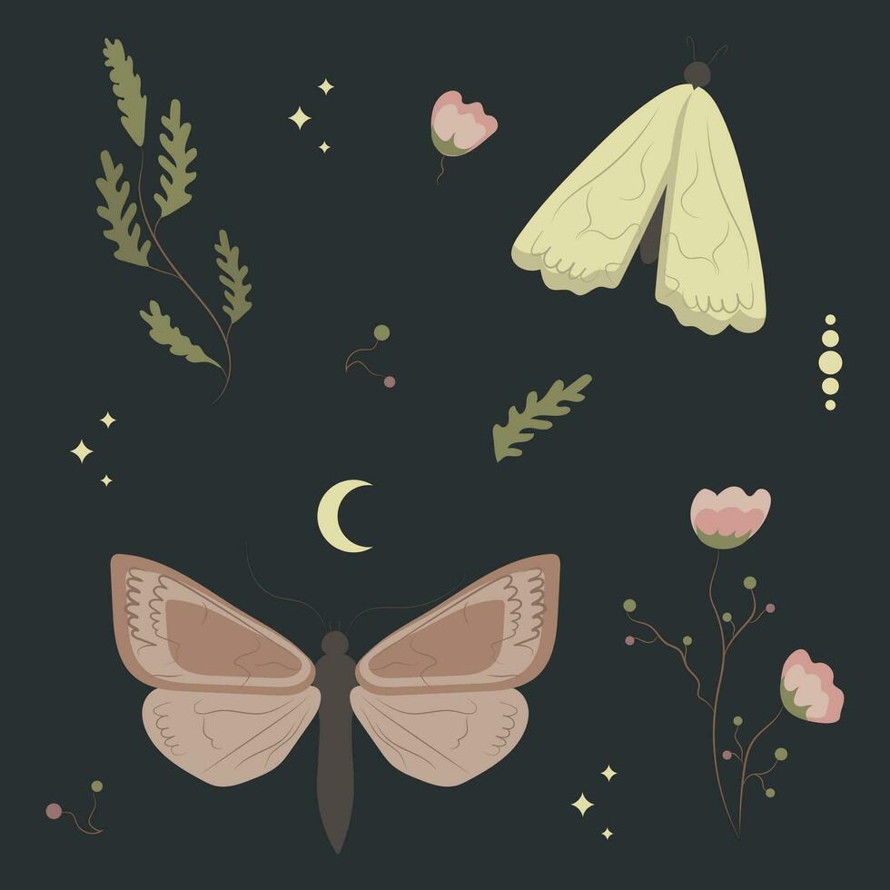 Magic vector collection with moths, moon and stars, flowers and botanical elements on dark background