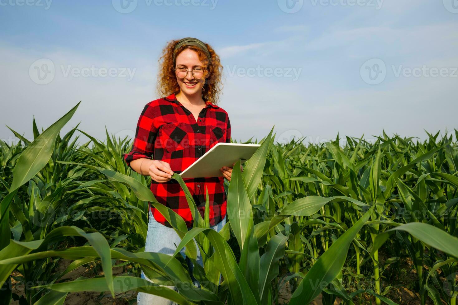 retrato de hembra granjero quien es cultivando maíz. ella es examinando Progreso de plantas. agrícola ocupación. foto