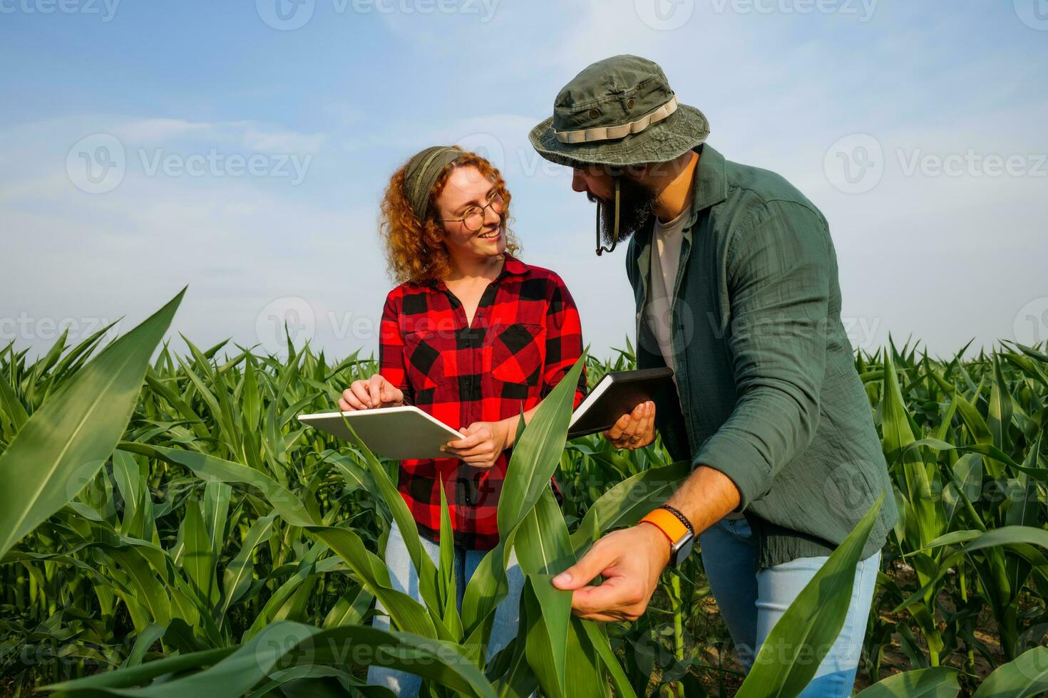 retrato de agricultores quien son cultivando maíz. ellos son examinando Progreso de el plantas. agrícola ocupación. foto