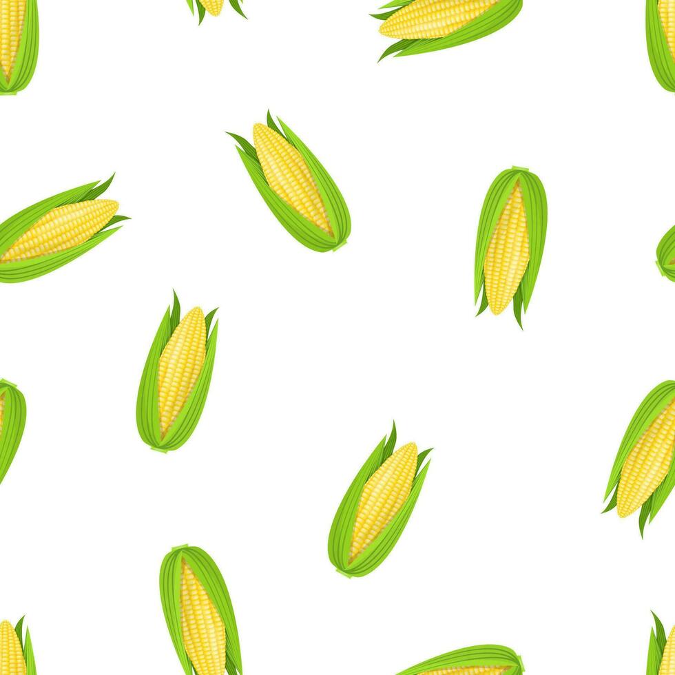 Seamless pattern with corn on a white background. Pattern with vegetables vector