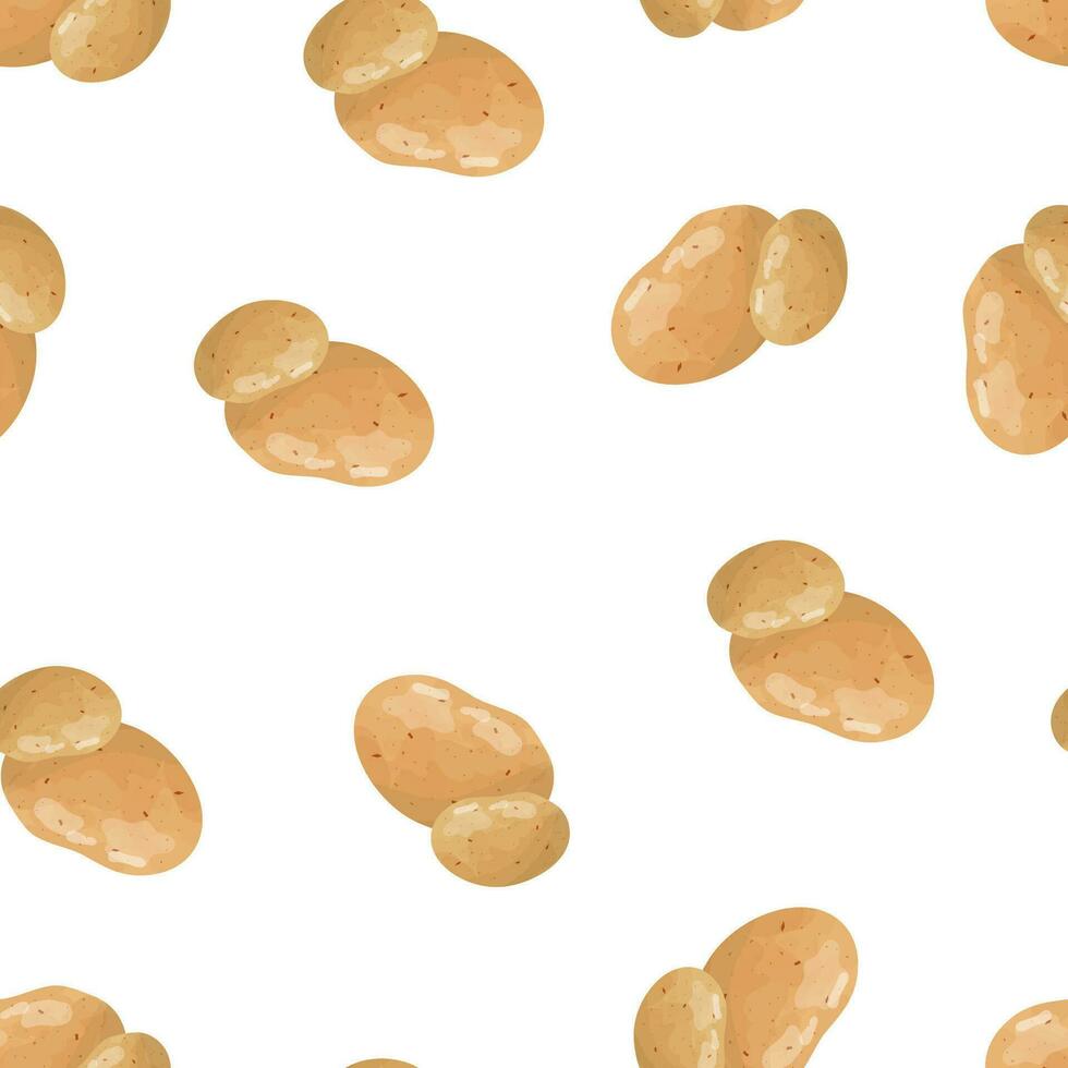 Seamless pattern with potatoes on a white background. Pattern with vegetables vector