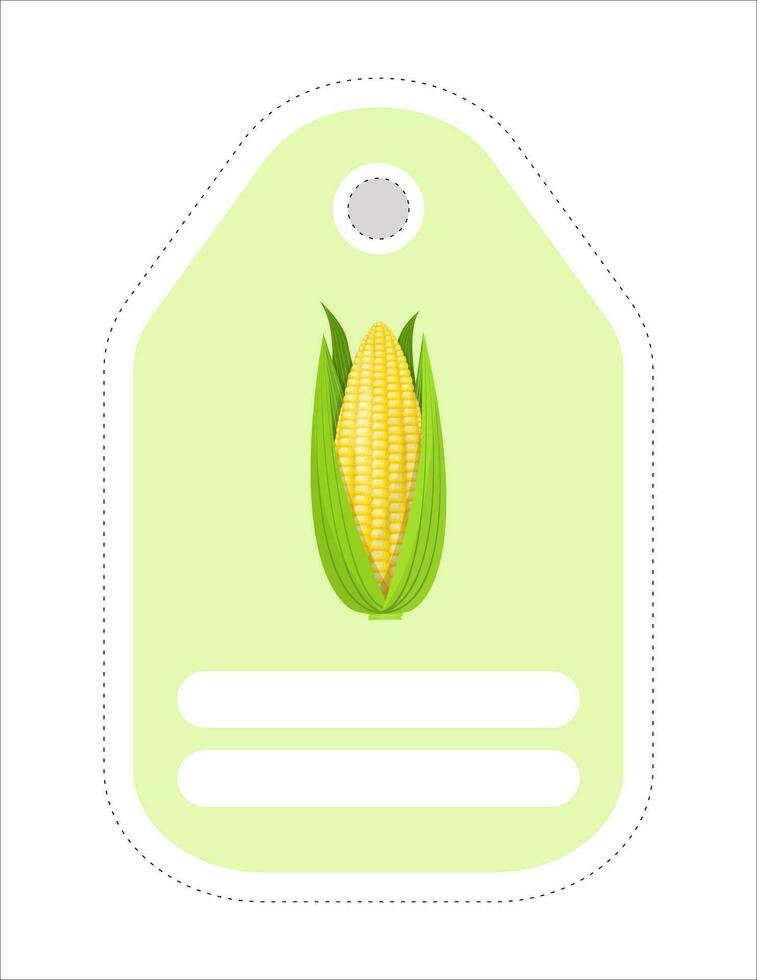 Cute vegetable label. Memo, writing paper.Label with the image of corn vector